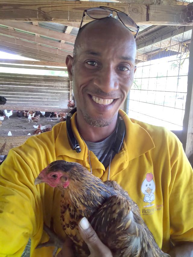 He owns 1,000 chickens